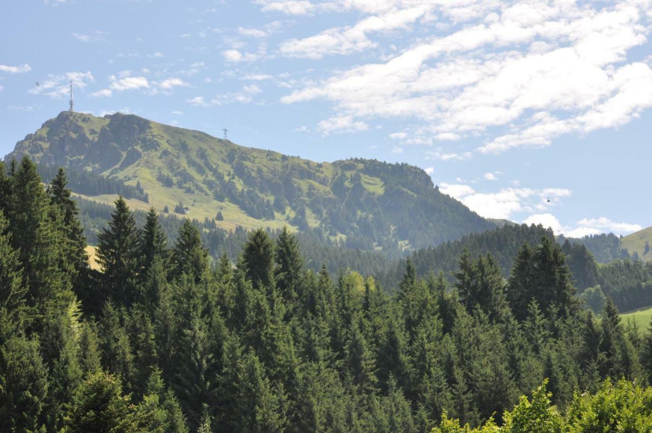 Appartement Kitzbuehel Mit Dachterrasse Kültér fotó